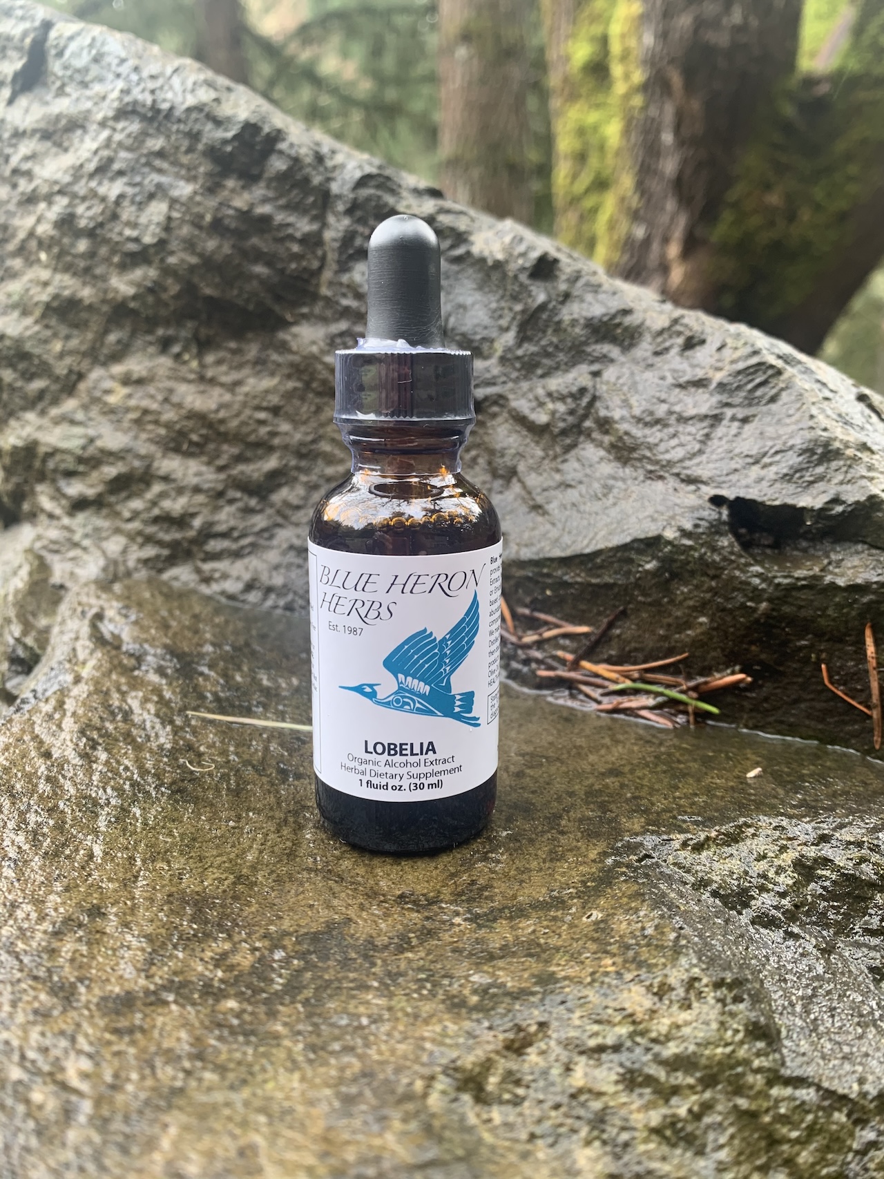 (image for) Lobelia 1oz